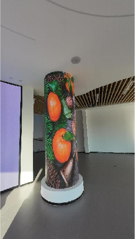 梅州雁洋某展馆LED圆柱屏